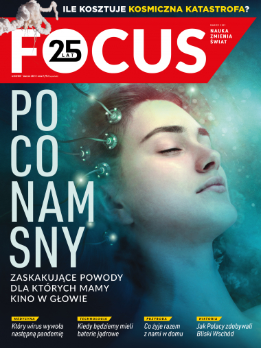 Focus