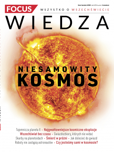 Focus wiedza
